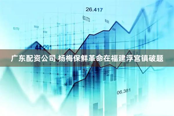 广东配资公司 杨梅保鲜革命在福建浮宫镇破题